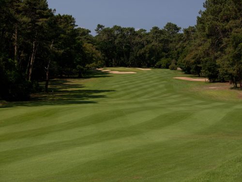 fairways